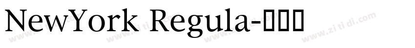 NewYork Regula字体转换